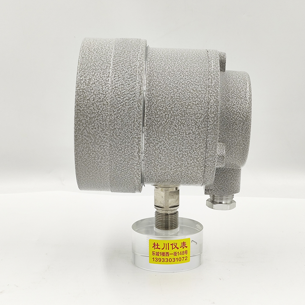 中表YTX-100B，-0.1-1.5MPa（2）.jpg