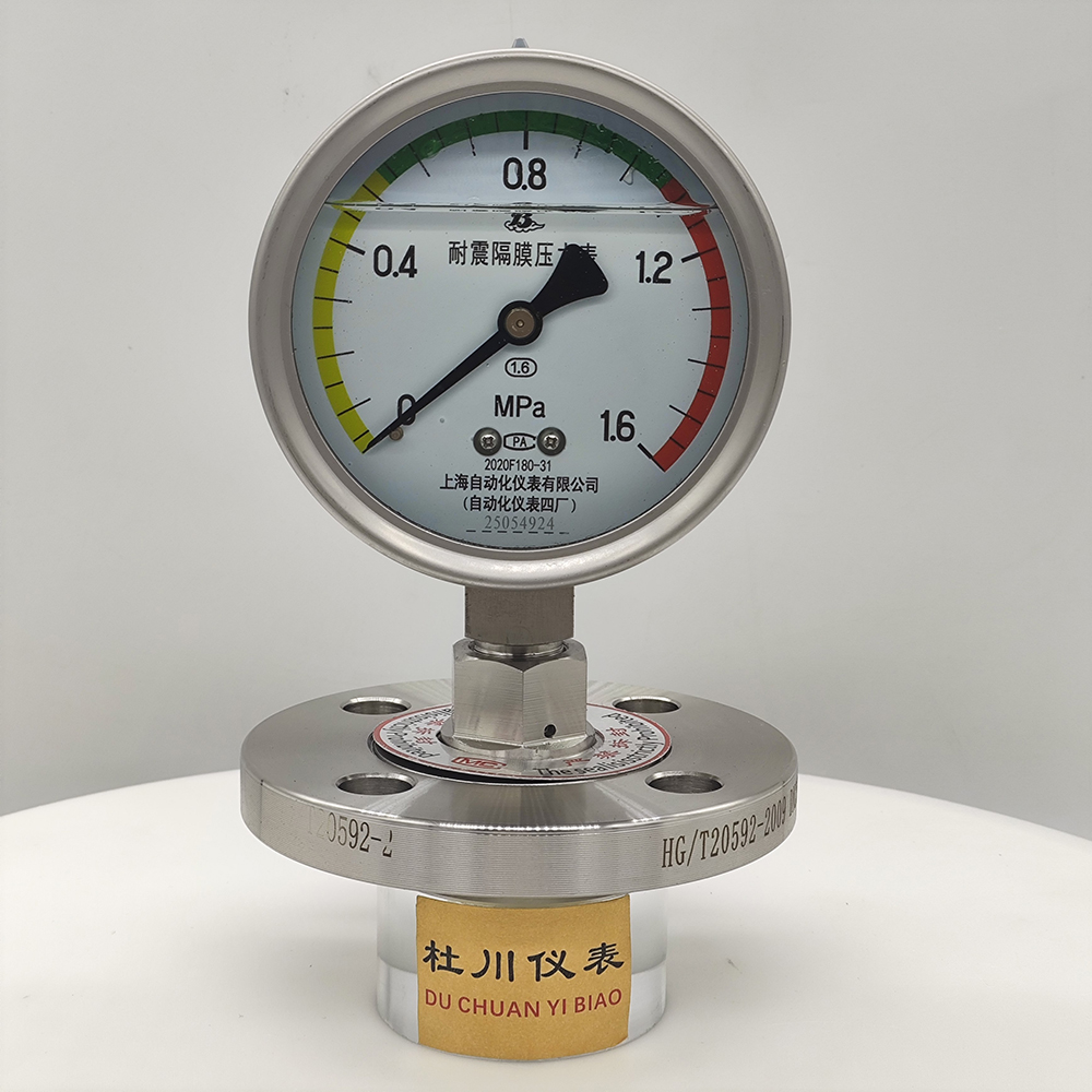 YNTP100BF法蘭DN25，膜片316L+PTFE（2）.jpg