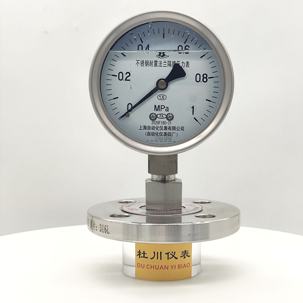 上海自動(dòng)化YNTP100BF，DN25法蘭，1mpa.jpg