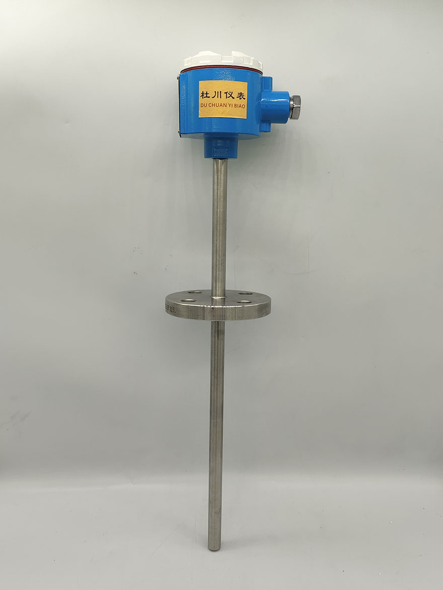 防爆熱電阻MM-SBWZR-441，-50-450℃，PT100，400x250mm，DN20.jpg