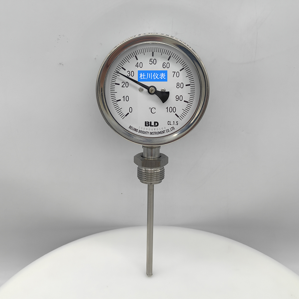 WSS411BF，100℃，100mm.jpg